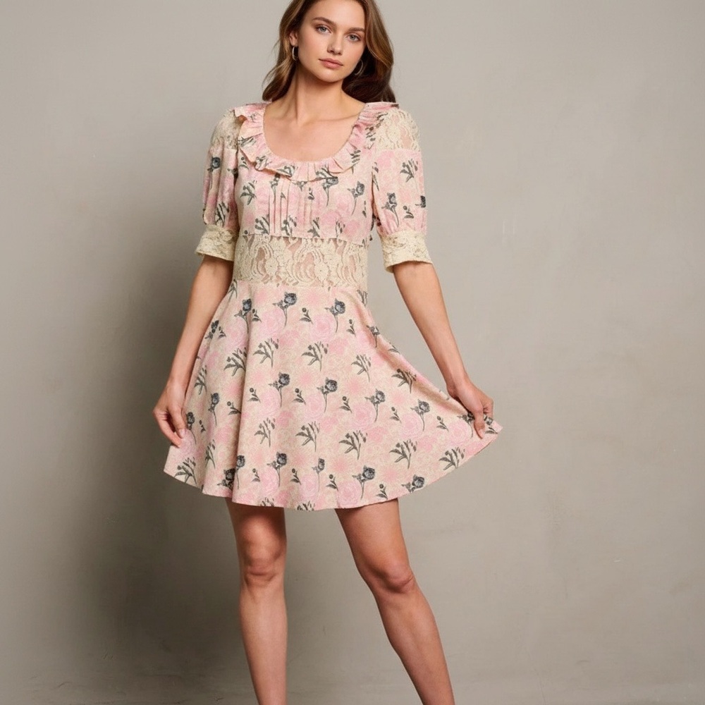 NWT Alamia Floral Lace Cream & Pink Mini Dress Boutique Romantic Coquette Girly - Picture 3 of 16